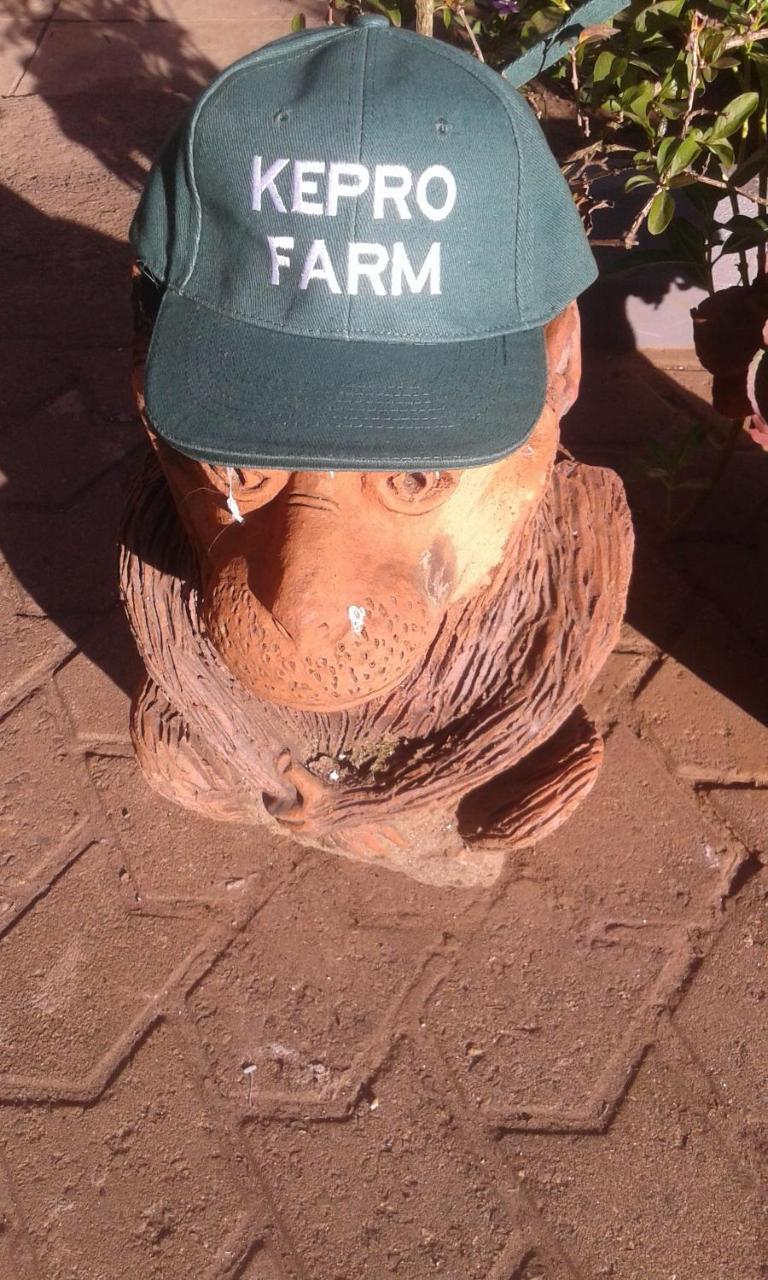 나이로비 Kepro Farm 아파트 외부 사진